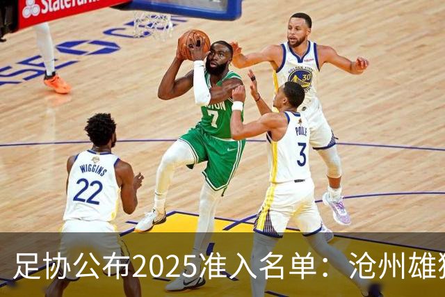 足协公布2025准入名单：沧州雄狮、广州队无缘